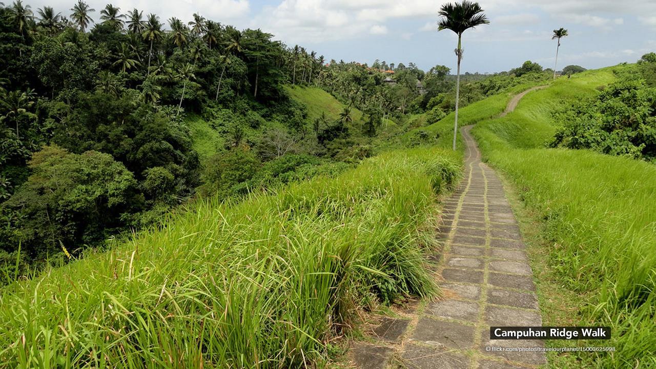 Zen Premium Nyuh Bojog Ubud Екстериор снимка